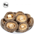 Seta de shiitake secada china a granel al por mayor